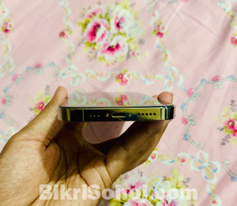 iPhone 14 pro